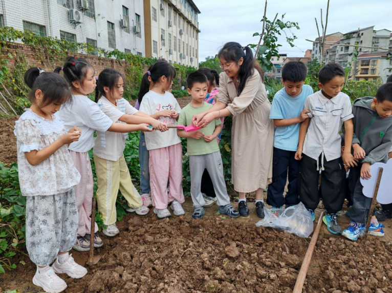 安岳县元坝小学劳动实践周活动纪实