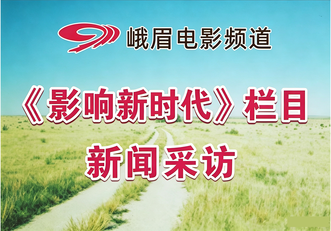 社区文化活动策划实施